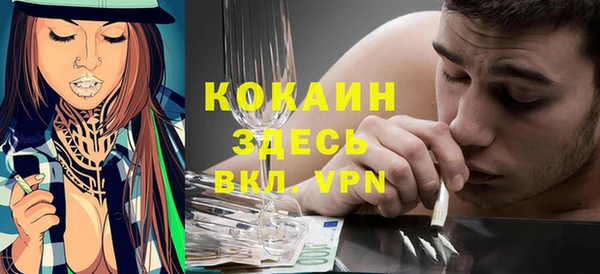 mix Белокуриха