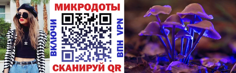 Купить где  Углегорск  Псилоцибиновые грибы Psilocybe 